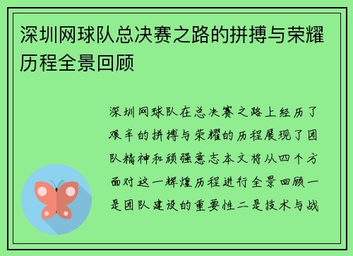 深圳网球队总决赛之路的拼搏与荣耀历程全景回顾